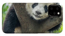 Panda in Tree - iPhone AND/OR Galaxy Phone Case