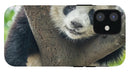 Panda in Tree - iPhone AND/OR Galaxy Phone Case
