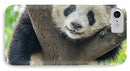 Panda in Tree - iPhone AND/OR Galaxy Phone Case