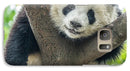 Panda in Tree - iPhone AND/OR Galaxy Phone Case