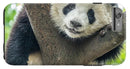 Panda in Tree - iPhone AND/OR Galaxy Phone Case