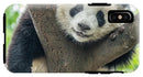 Panda in Tree - iPhone AND/OR Galaxy Phone Case