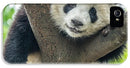 Panda in Tree - iPhone AND/OR Galaxy Phone Case