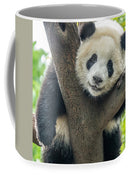 Panda in Tree - 11oz White Mug and 15oz White Mug