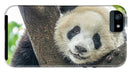 Panda in Tree - iPhone AND/OR Galaxy Phone Case