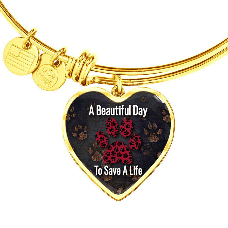 A Beautiful Day To Save a Life - Veterinary Pendant Bangle
