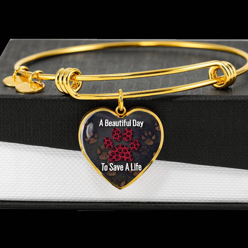 A Beautiful Day To Save a Life - Veterinary Pendant Bangle