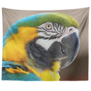 Bird's Eye View Large Wall Tapestry