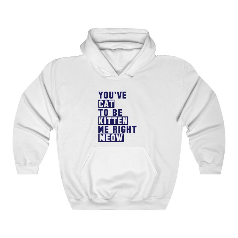 You've Cat To Unisex Heavy Blend Hoodie