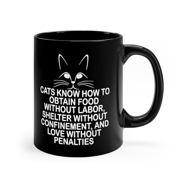 Cats Know How 11oz Black Mug