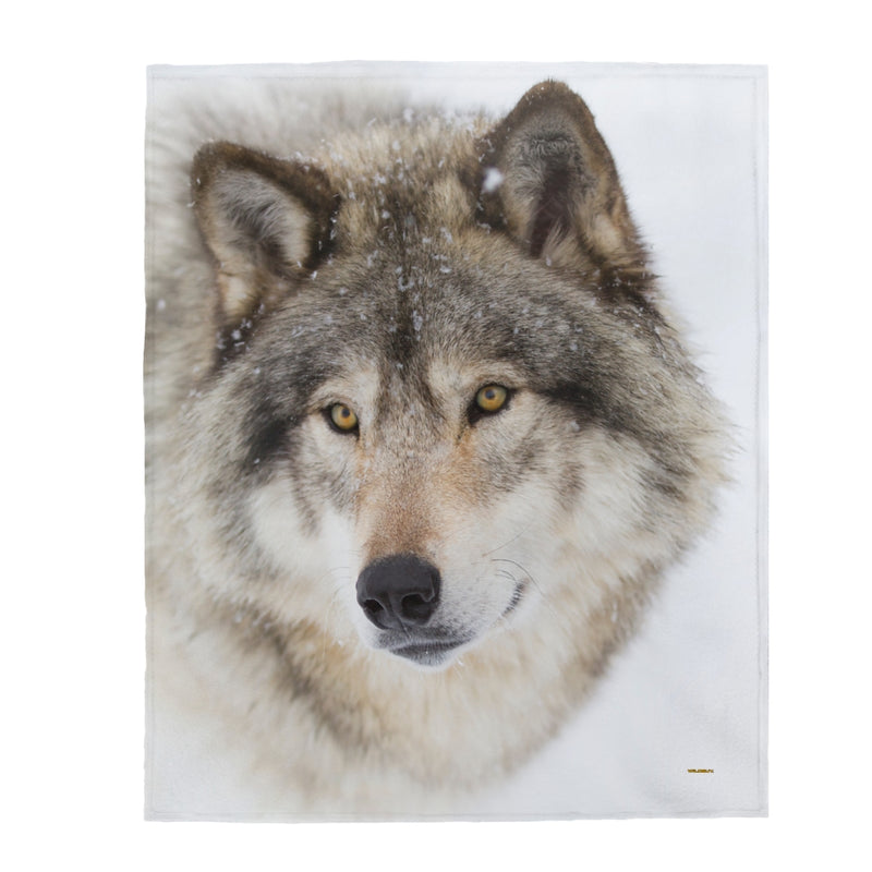 Wolf Blanket, Velveteen Plush, Free Shipping, Two Sizes, Throw Blanket, Extra Soft, Custom Photo, Throws