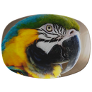 Birds Eye View Serving Platter