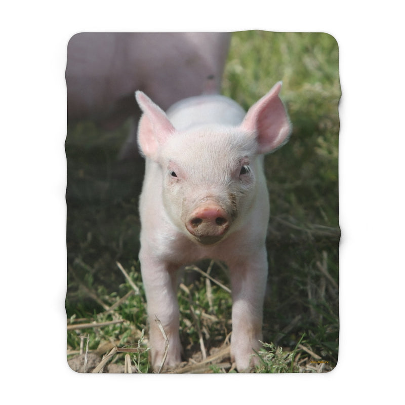 Baby Pig Sherpa Fleece Blanket, Free Shipping, Two Sizes, Throw Blanket, Extra Soft, Custom Photo, Very Warm