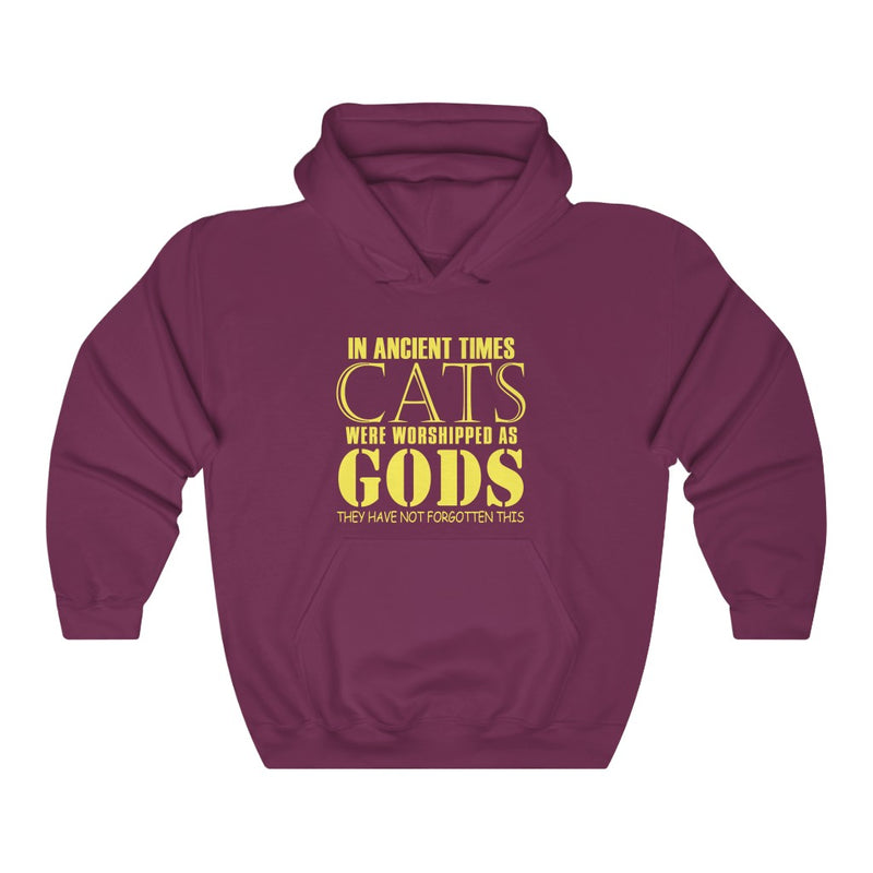 In Ancient Times Unisex Heavy Blend™ Hoodie