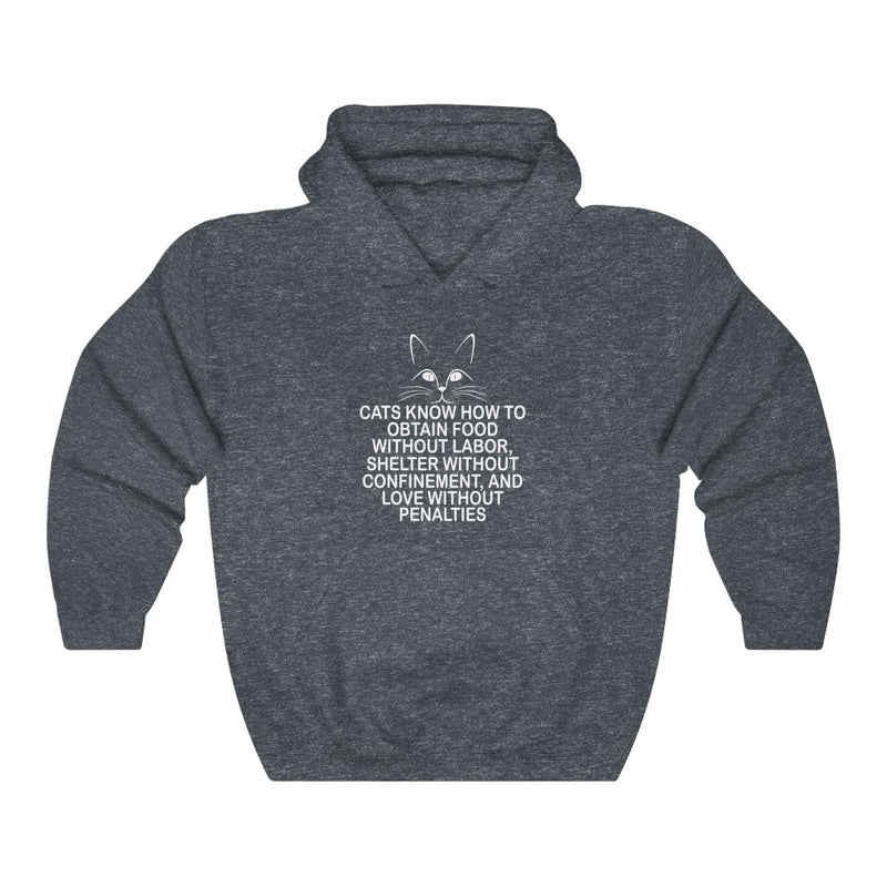 Cats Know How Unisex Heavy Blend™ Hoodie