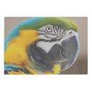 Birds Eye View Glass Cutting Board