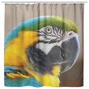 Birds Eye View Shower Curtain