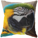 Birds Eye View Pillow - Choose From Stuffed & Sewn Or Case With Insert