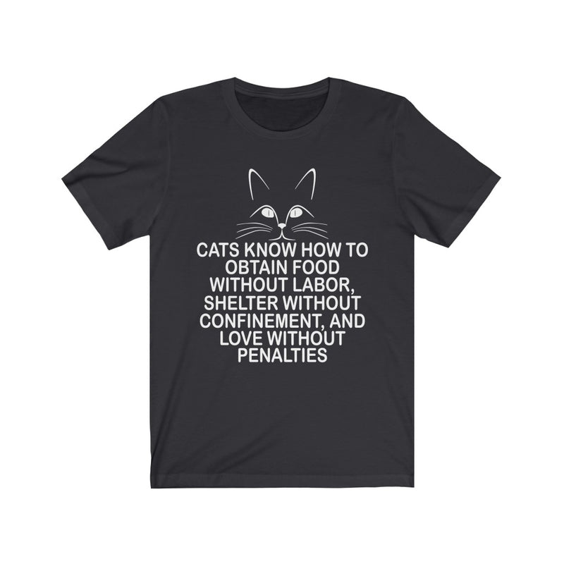 Cats Know How Unisex Jersey Short Sleeve T-shirt