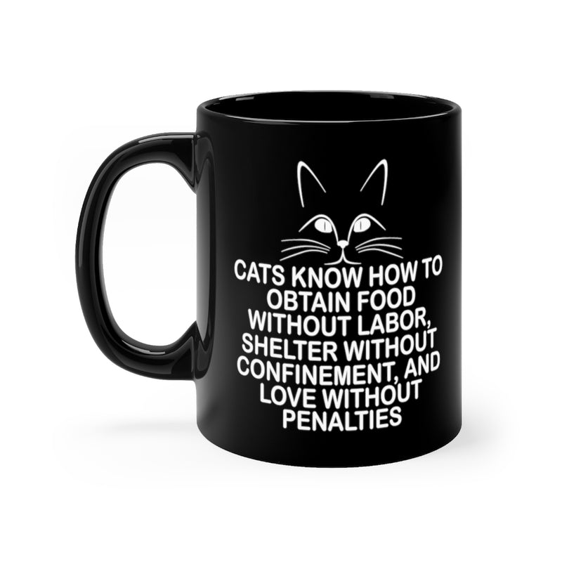 Cats Know How 11oz Black Mug