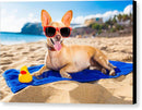Dog On Beach Blanket - Canvas Print