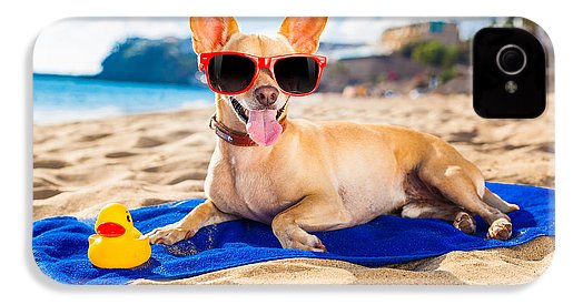 Dog On Beach Blanket - iPhone Case AND/OR Galaxy Phone Case