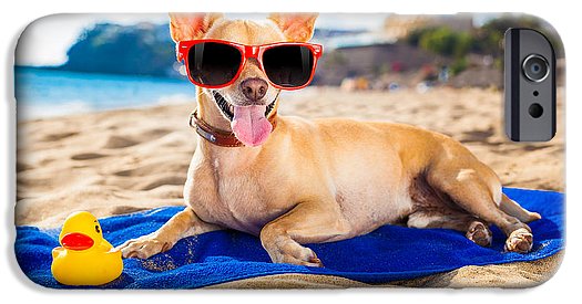 Dog On Beach Blanket - iPhone Case AND/OR Galaxy Phone Case