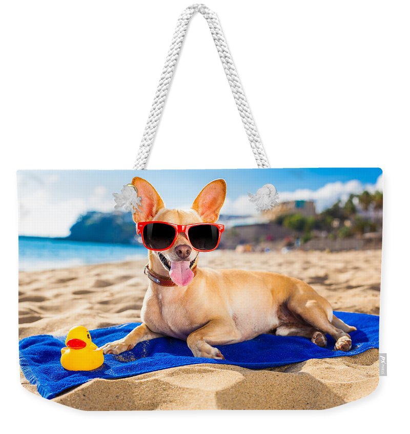 Dog On Beach Blanket - Weekender Tote Bag