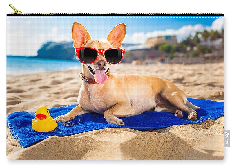 Dog On Beach Blanket - Carry-All Pouch