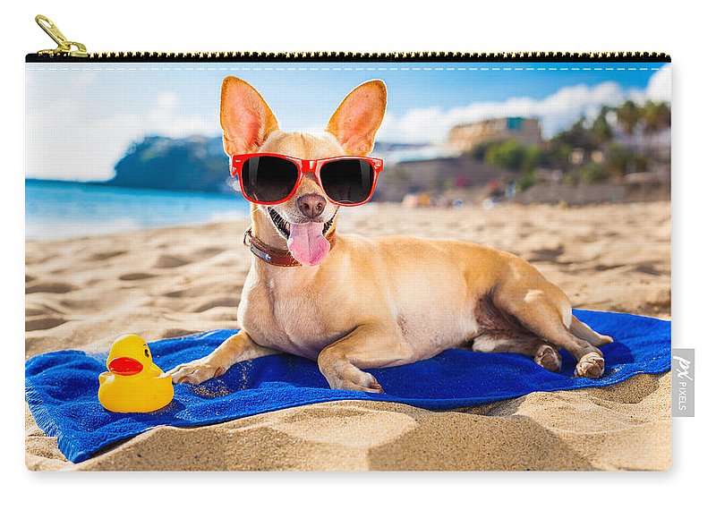 Dog On Beach Blanket - Carry-All Pouch