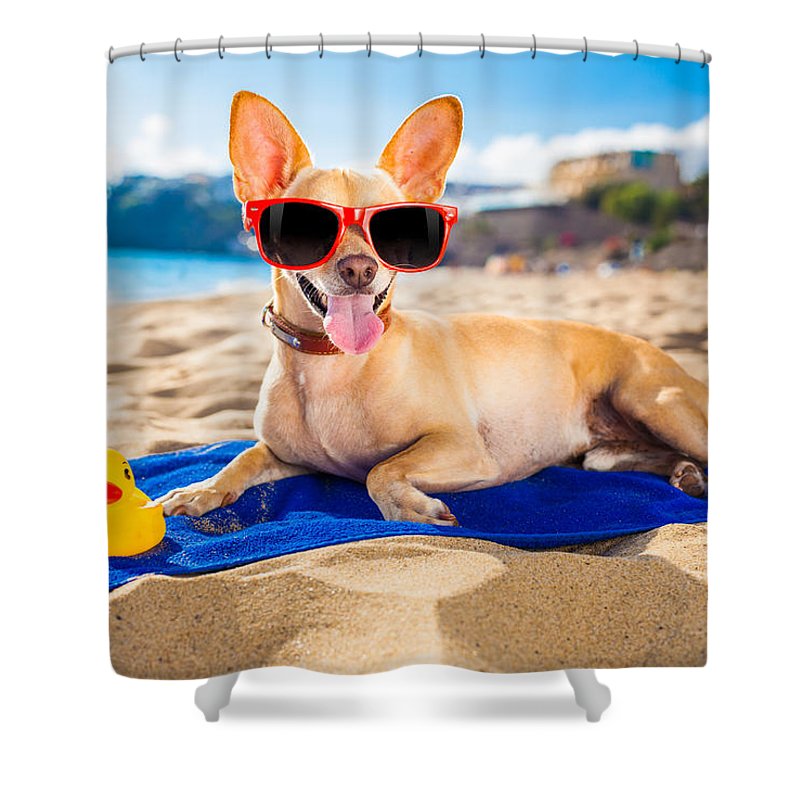 Dog On Beach Blanket - Shower Curtain