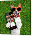 Dog Selfie - Canvas Print