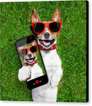 Dog Selfie - Canvas Print
