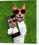Dog Selfie - Canvas Print