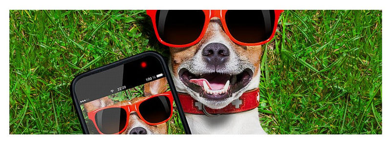 Dog Selfie - Yoga Mat