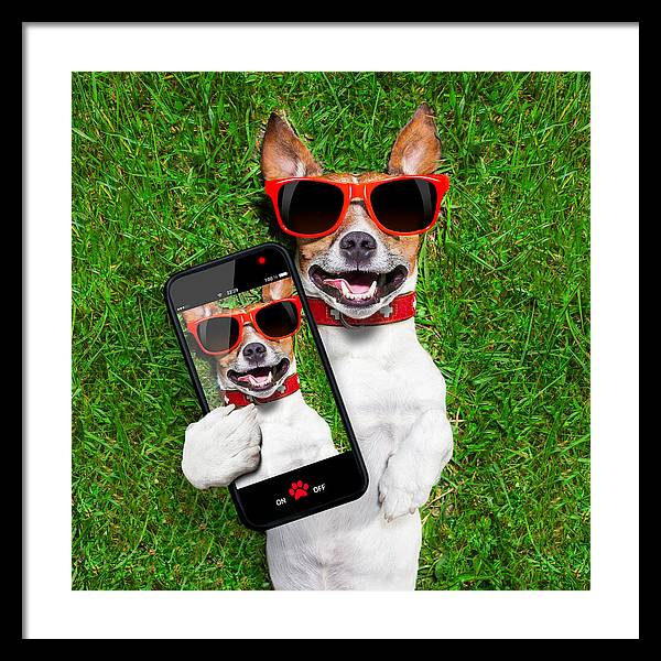 Dog Selfie - Framed Print