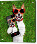 Dog Selfie - Acrylic Print
