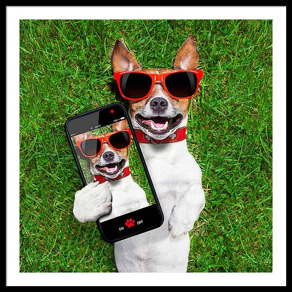 Dog Selfie - Framed Print