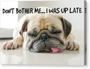 Don't Bother Me - Canvas Print