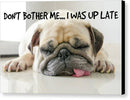 Don't Bother Me - Canvas Print
