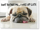 Don't Bother Me - Canvas Print