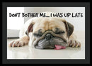 Don't Bother Me - Framed Print