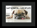 Don't Bother Me - Framed Print