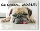Don't Bother Me - Acrylic Print