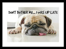 Don't Bother Me - Framed Print