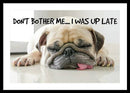 Don't Bother Me - Framed Print