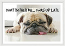 Don't Bother Me - Framed Print