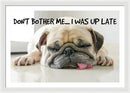 Don't Bother Me - Framed Print