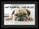 Don't Bother Me - Framed Print