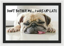 Don't Bother Me - Framed Print